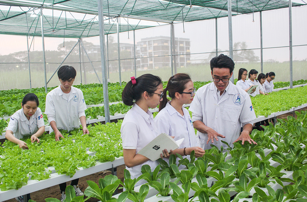 The first products of the Smart Agricultural Experimental Garden