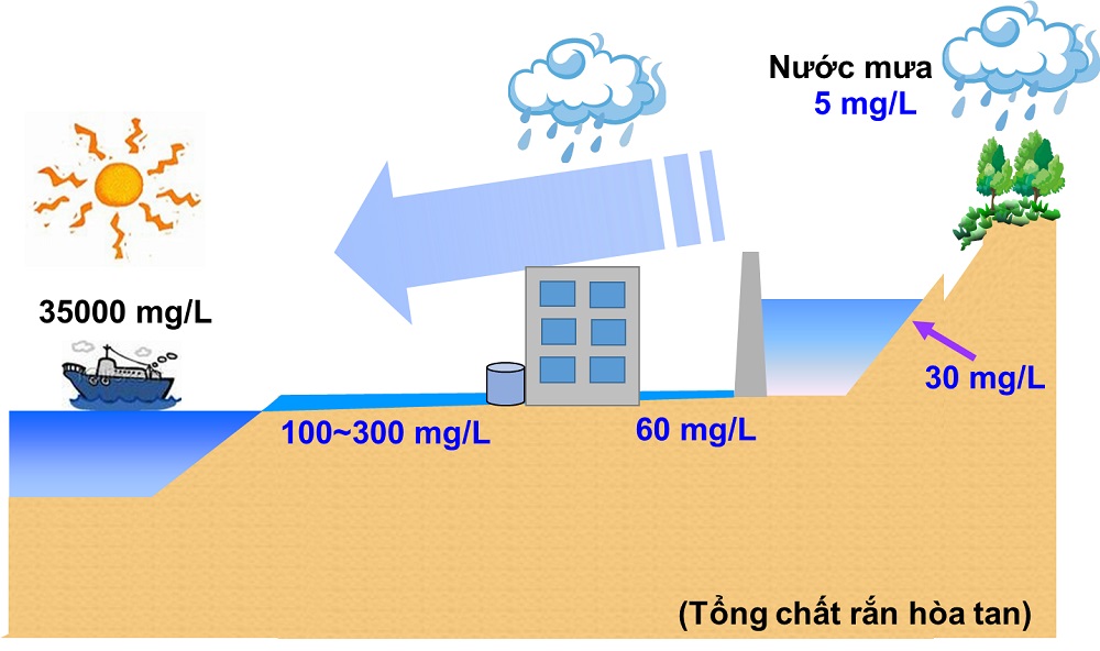 Nuoc-mua-3.jpg