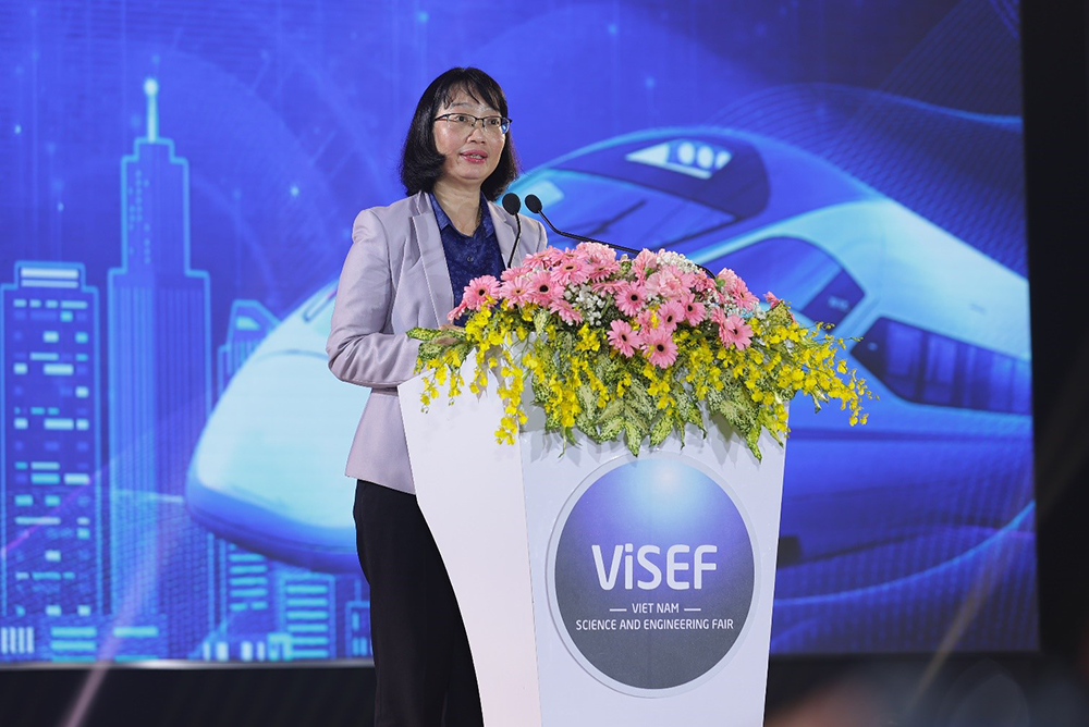 ViSEF2024-25